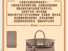 爱马仕蛇皮女包价格(爱马仕蛇皮女包价格多少)