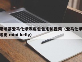 柬埔寨爱马仕蜥蜴皮包包定制视频（爱马仕蜥蜴皮 mini kelly）