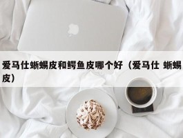 爱马仕蜥蜴皮和鳄鱼皮哪个好（爱马仕 蜥蜴皮）