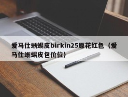 爱马仕蜥蜴皮birkin25原花红色（爱马仕蜥蜴皮包价位）