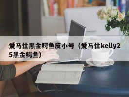 爱马仕黑金鳄鱼皮小号（爱马仕kelly25黑金鳄鱼）