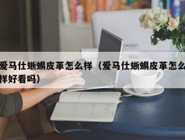 爱马仕蜥蜴皮革怎么样（爱马仕蜥蜴皮革怎么样好看吗）