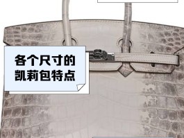 爱马仕凯莉包老款(爱马仕凯莉包最便宜什么价格)