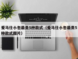 爱马仕小包最贵5种款式（爱马仕小包最贵5种款式图片）