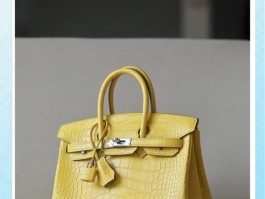 爱马仕鳄鱼包(爱马仕鳄鱼包包图片)