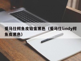 爱马仕鳄鱼皮铂金黑色（爱马仕lindy鳄鱼皮黑色）