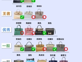 爱马仕鸵鸟皮包包什么价(爱马仕鸵鸟皮birkin)