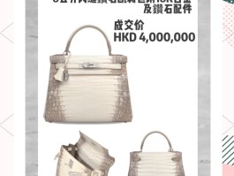 爱马仕喜马拉雅女包价格与图片的简单介绍