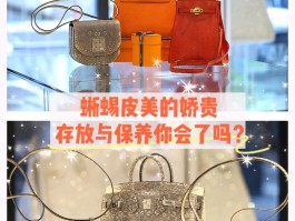 爱马仕专柜蜥蜴皮(爱马仕蜥蜴皮铂金包)