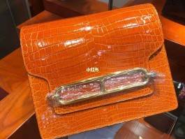 台湾爱马仕鳄鱼皮定制怎么样(台湾爱马仕鳄鱼皮定制怎么样啊)